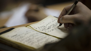 vedennya-shhodennyka