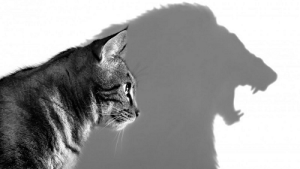 Методи трансформації внутрішнього діалогу