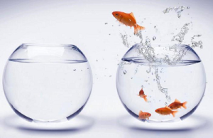 Впевненість як протилежність і продовження зони комфорту